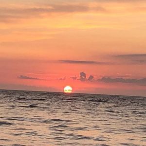 Meet your Posher, Lenore